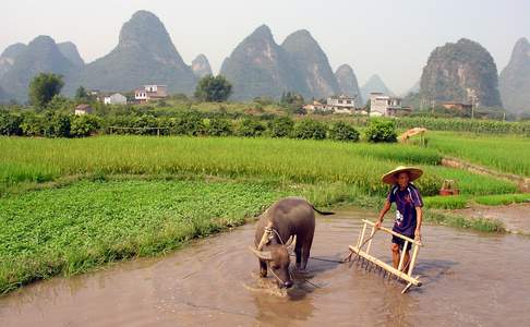 Yangshuo, platteland