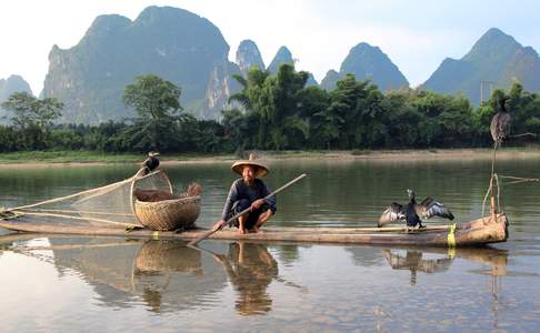 Vissen met aalscholvers op de Li-rivier bij Yangshuo