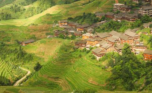 De groene en prachtige rijstterrassen van Pingan