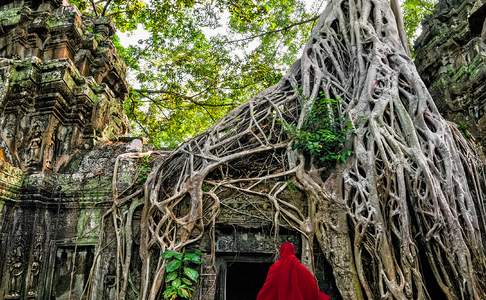 De jungle tempel Ta Prohm in het Angkor gebied