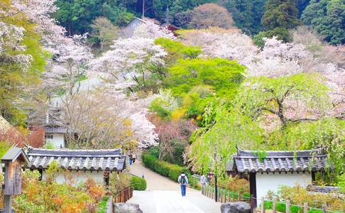 Het Hasedera Park in Nara