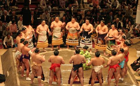 Sumo toernooi