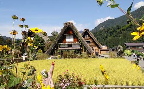 Shirakawago