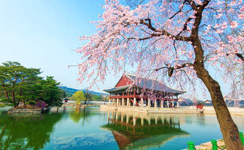 Het Gyeongbokgung paleis in Seoul