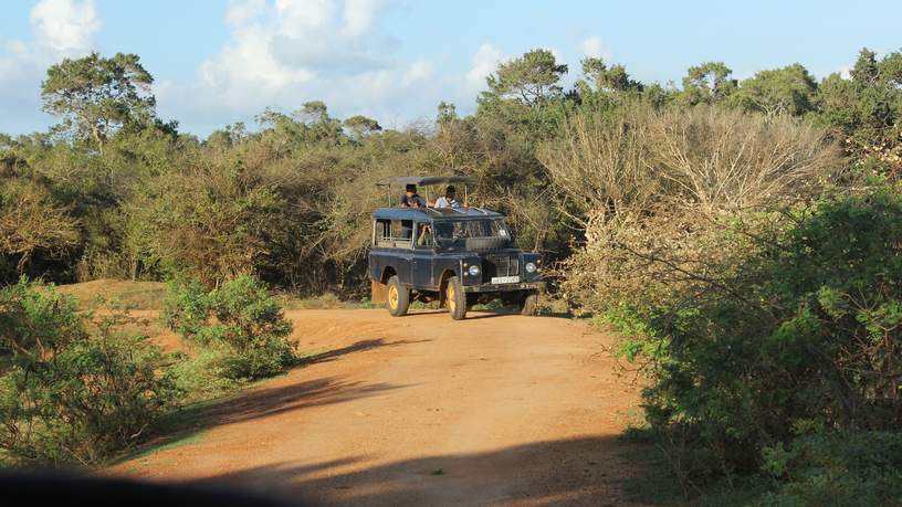 "Toch best spannend zo’n jeepsafari. Gaan we wat zien?"