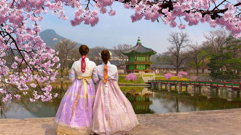 Ook in Zuid-Korea kun je kersenbloesem in al haar pracht aanschouwen.
