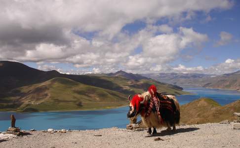 Onderweg tussen Lhasa en Gyangtse, Yamdruktso