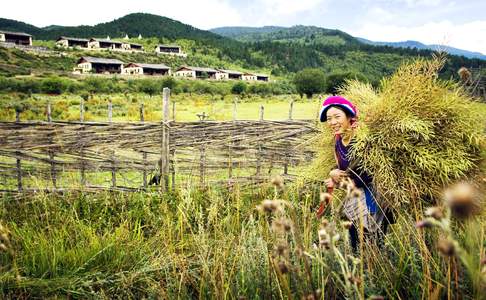 Platteland rond Zhongdian