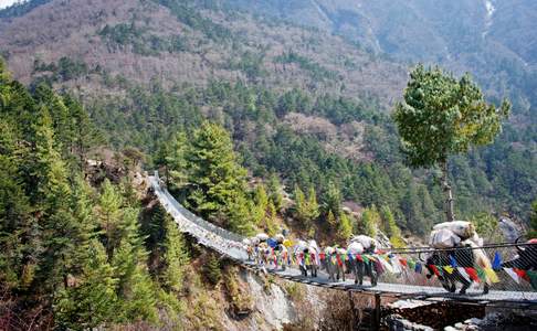 Trekking in Nepal