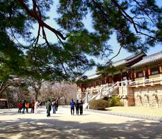 Gyeongju, Bulguksa Tempel