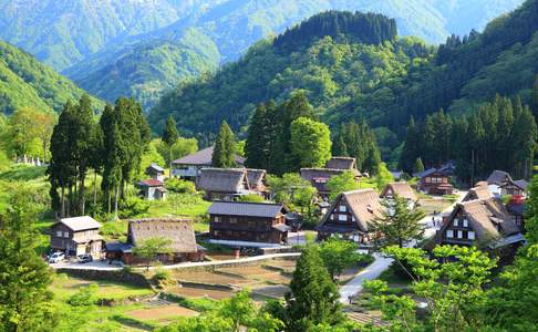 Het dorpje Shirakawago in de Japanse Alpen