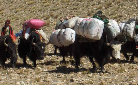 Tibet, yaks-karavaan bij Rongbuk (Everest Basecamp)
