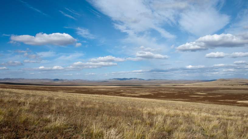 Hustai National Park, Mongolië