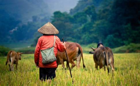 Vietnam