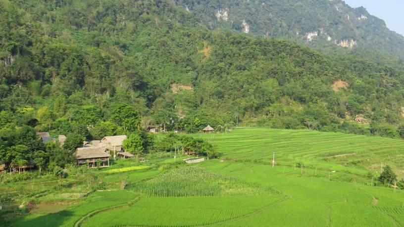 Rijstvelden en de beboste bergen van Vietnam