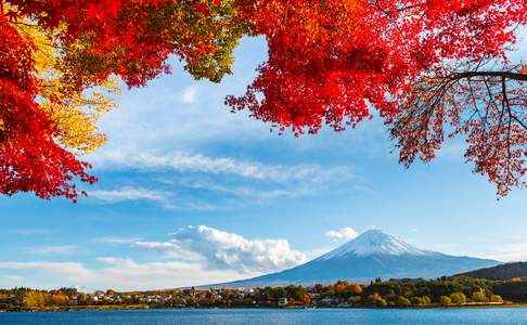 Uitzicht op Mount Fuji