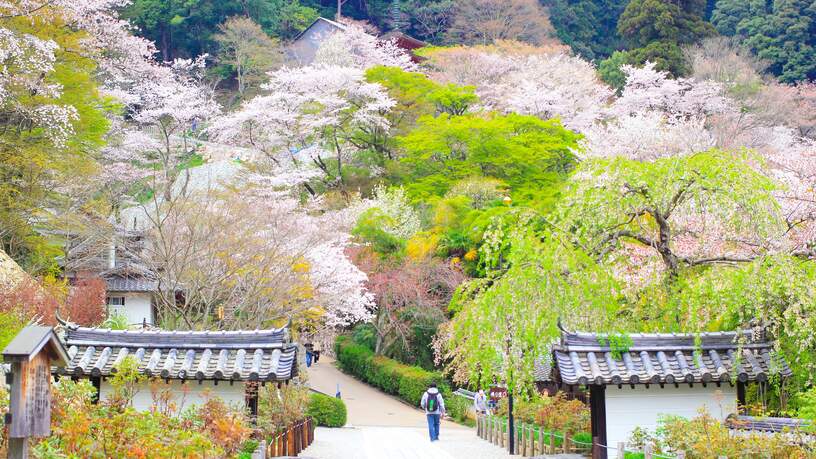 Het Hasedera Park in Nara