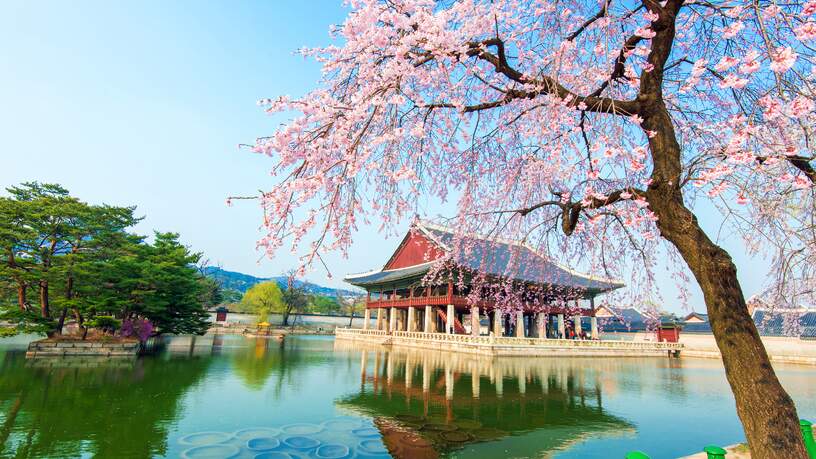 Het Gyeongbokgung paleis in Seoul