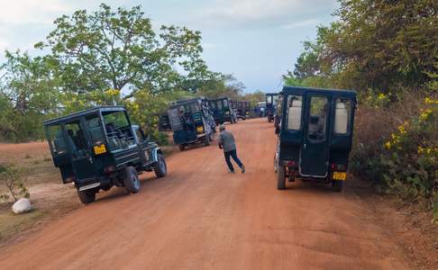 Er zijn vele prachtige natuurparken in Sri Lanka die per jeep safari verkend kunnen worden.