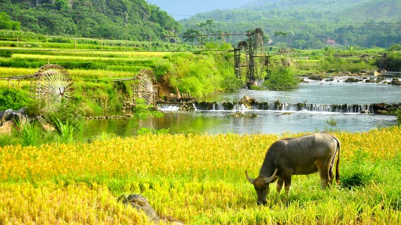 Puluong National Park