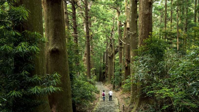 Pelgrimsroute Kumano kodo, Japan.